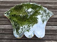 Top-down photo showing the entire scalloped mirror reflecting green trees. Shows the unique shape and slight imperfections on glass.