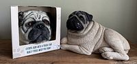 Photo of the pug statue next to the boxed Mr. Pug costume head on a wooden surface with a plain grey background.