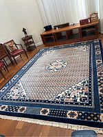Full view of rug on hardwood floor showing overall design, size, and fringe