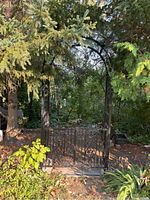 Full view of black metal garden trellis archway with gate installed in an outdoor garden setting surrounded by foliage.
