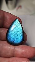 Close-up image of natural pear-shaped labradorite stone showing bright blue flash held between fingers.