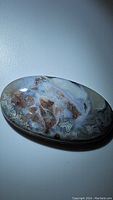 Oval polished Natural Crazy Lace Agate stone showing detailed lace patterns and color variations from white to brown and gray.
