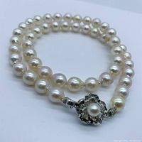 Detailed image of the Akoya pearl necklace coiled showing size and quality of pearls along with the silver floral clasp with central pearl.