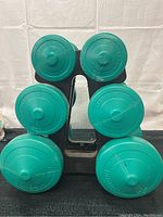 Set of six teal dumbbell weight plates arranged in two columns on a black stand against a white background