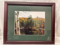 Framed landscape picture reflecting the room and showing full frame and image.