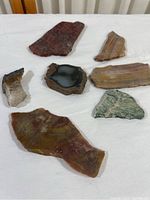 Six pieces of petrified wood and geodes displayed on white cloth, showing various sizes and colors