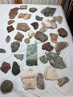 Full collection of stones and petrified wood pieces spread on a white surface.