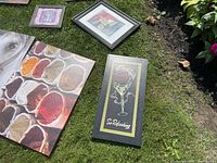 Six different wall art prints on a grass surface including spices, a cocktail print, and abstract art.