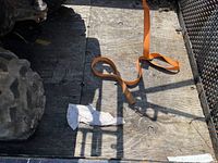 Close-up of plywood floor and metal side panel showing condition and tie-down strap