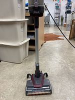 Full upright view of Shark Duo Clean stick vacuum cleaner showing maroon and grey color scheme and the brush head.