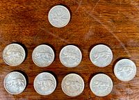 Ten Canadian quarters laid out on a wooden surface with nine coins showing the caribou reverse design and one coin partially showing.