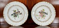 Two Richard Ginori for Birks ceramic cabinet plates with bird illustrations and floral vine border, displayed side by side against wooden background.
