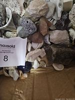 Photo showing a mix of rocks, stones, and shells of different sizes and textures.