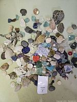 Overhead view of entire collection showing range of rocks, shells, and colored glass pieces.