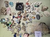 Lot showing a wide variety of rocks, stones, shells, and glass items spread on a flat surface including decorative stones and a black square container.