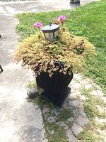 Large black resin planter with trailing greenery, pink flowers, and a solar garden light in the center, placed outdoors on a stone patio.