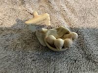 Cream-colored ceramic Christmas Puppies figurine showing three puppies with a small sign reading 'Christmas Puppies'