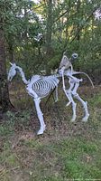 Full side view of plastic skeleton horse with rider outdoors among trees showing overall structure and posture.