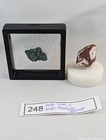 Two mineral specimens side by side including a polished Jasper stone on a white base and a Velvet Malachite in black-framed display case, with handwritten label reading '248 Jasper Stone & Velvet Malachite Specimen'.