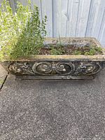 Concrete planter with scroll decorative pattern, some moss and soil with plants inside.