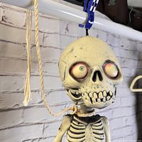 Close-up of the skeleton head showing large expressive eyes and painted detail