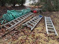 Three aluminum ladders positioned outdoors on grass and fallen leaves, visible wear and dirt, two with blue Werner locking parts.