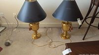 Pair of two brass base lamps with black fabric lampshades placed on carpeted floor, cords visible.