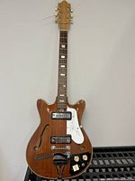 Full front view of hollow body guitar