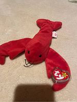Red plush lobster Beanie Baby named "Pinchers" lying on a surface with original Ty heart-shaped hang tag in a clear protective cover.