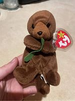 Photo of a brown plush otter holding green seaweed, with a Ty heart-shaped tag attached