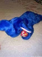 Front angled view of the blue elephant Beanie Buddy showing the Ty heart-shaped tag on the ear.