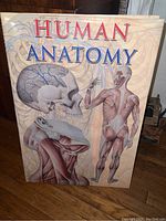 Photo of the front cover of a large 'Human Anatomy' book showing anatomical drawings of skull and muscular system.