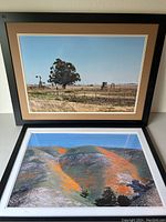 Both framed prints pictured with one leaning back and the other standing. Shows full view of frames and images.
