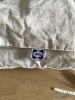 Close-up photo of Sealy label on one white duvet showing brand logo and fabric condition.