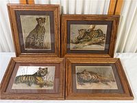 Four framed metallic etchings of big cats, including lions, tigers, and leopards, in natural settings. Displayed upright and horizontally. Frames are wood with brown mats.