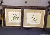 Two framed botanical prints by John-Richard displayed side by side, with ornate carved wooden frames and matted prints.
