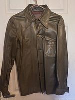Front view of dark brown men's leather jacket with pointed collar, button closure and flap chest pocket