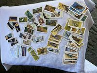 Display of many Brooke Bond Red Rose vintage collectible cards laid out showing a variety of birds and animals on a white cloth.