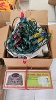 Box containing multicolored outdoor Christmas light string with bulbs in red, yellow, blue, green, and purple tangled together