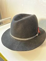Black BILTMORE fedora hat with decorative grey band and red feather accent displayed on white surface under natural light.