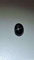 Black oval cabochon diopside gemstone showing a prominent 4-ray star reflected on the surface.