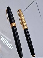 Two fountain pens on a transparent display showing overall condition and design.