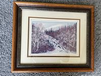 Framed watercolor painting of Duchesnay Falls depicting a natural landscape with a waterfall and trees.