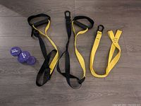 Overall view of the TRX suspension cords and two purple 3 lb dumbbells on floor.
