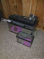 Large and small aquariums on carpeted floor with contents and accessories on and inside them.