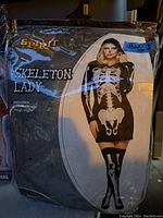 Photo of Skeleton Lady costume packaging showing black dress with white skeleton print and matching thigh highs.