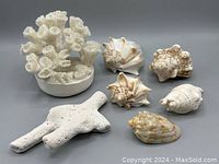 All 7 shells and coral decor pieces together on a neutral background