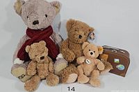 All 5 teddy bears displayed together showing size and brands