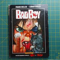 Front cover of the hardcover comic "Bad Boy" showing a close-up illustration of a bandaged and bloodied character with a grey cat.