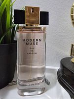 Front view of perfume bottle showing modern clear glass bottle with light pink liquid inside, gold spray nozzle and decorative black and gold cap, placed next to a black potted plant.